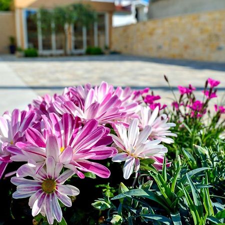Villa Karla Zara Esterno foto
